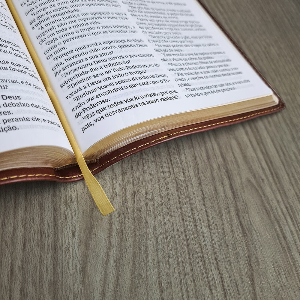 Bíblia Sagrada | Leitura Perfeita | ACF | Marrom Flexível