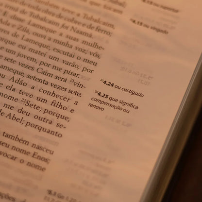 Bíblia Obreiro Aprovado Média Luxo Harpa Cristã Azul