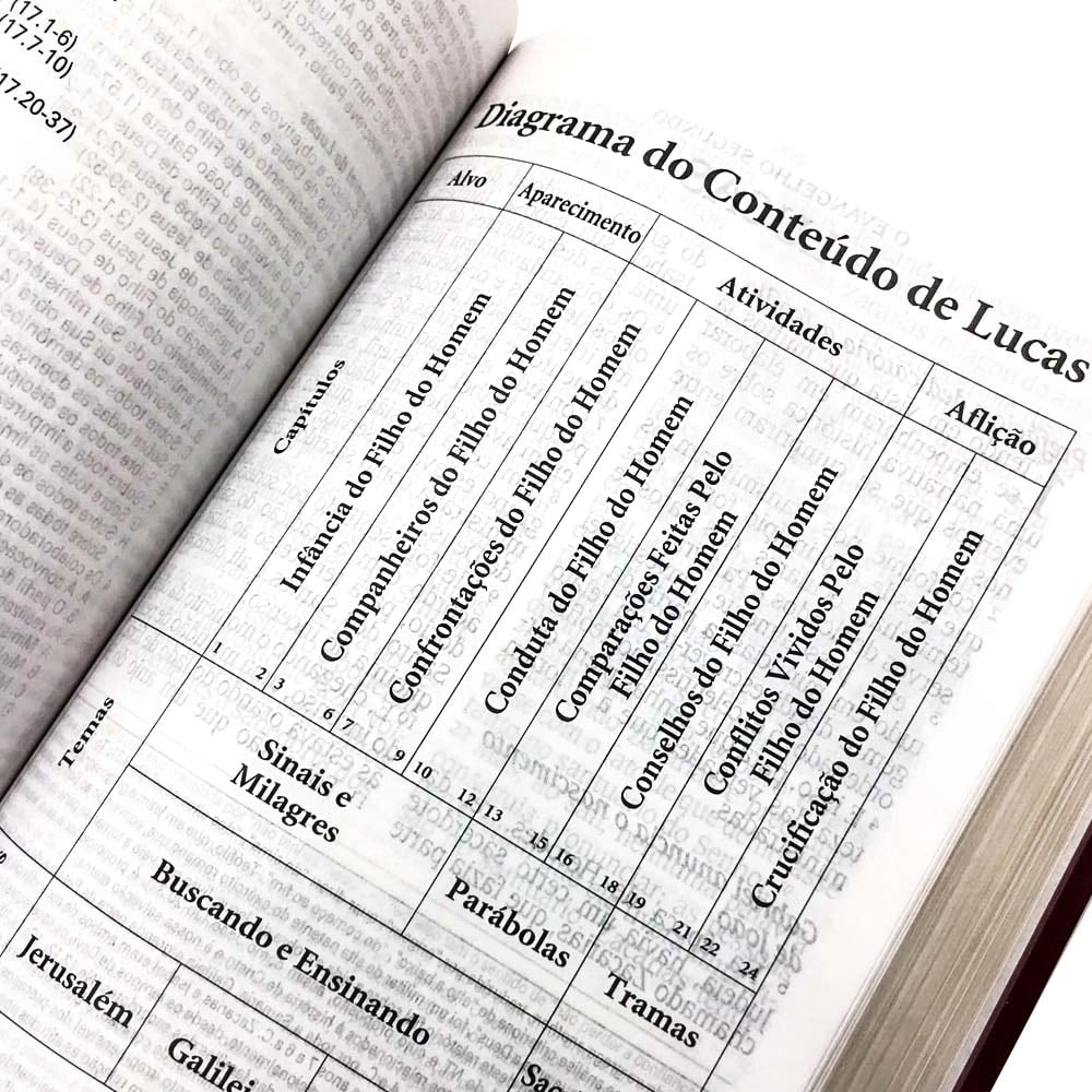 Bíblia de Estudo King James | KJA Letra Grande | Vinho
