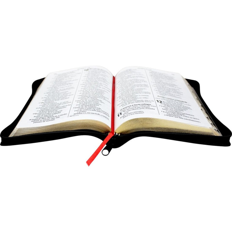 Bíblia Sagrada | ARA | Letra Gigante | Notas e Referências C/ Zíper Capa Preta