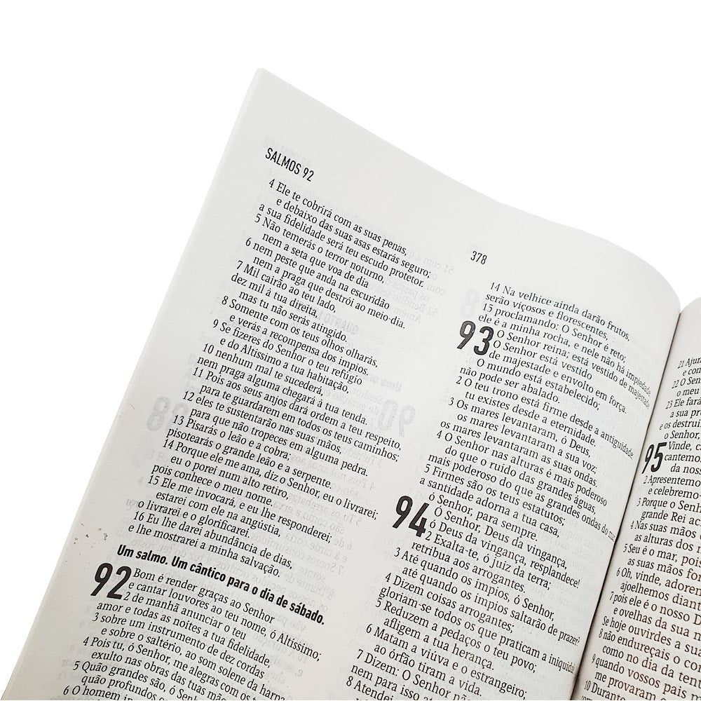 Bíblia Petróleo | Letra Normal | AEC | Capa Brochura