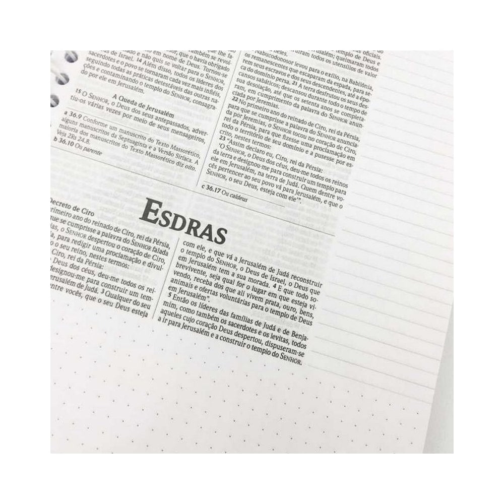 Bíblia Sagrada Anote Espiral Leão de Judá | NVI | Letra Normal | Capa Dura