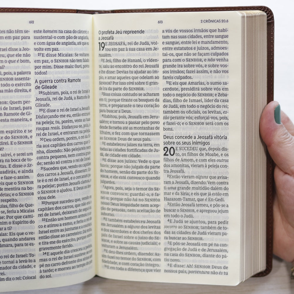 Bíblia Sagrada | ACF | Letra Grande | Couro Soft Marrom