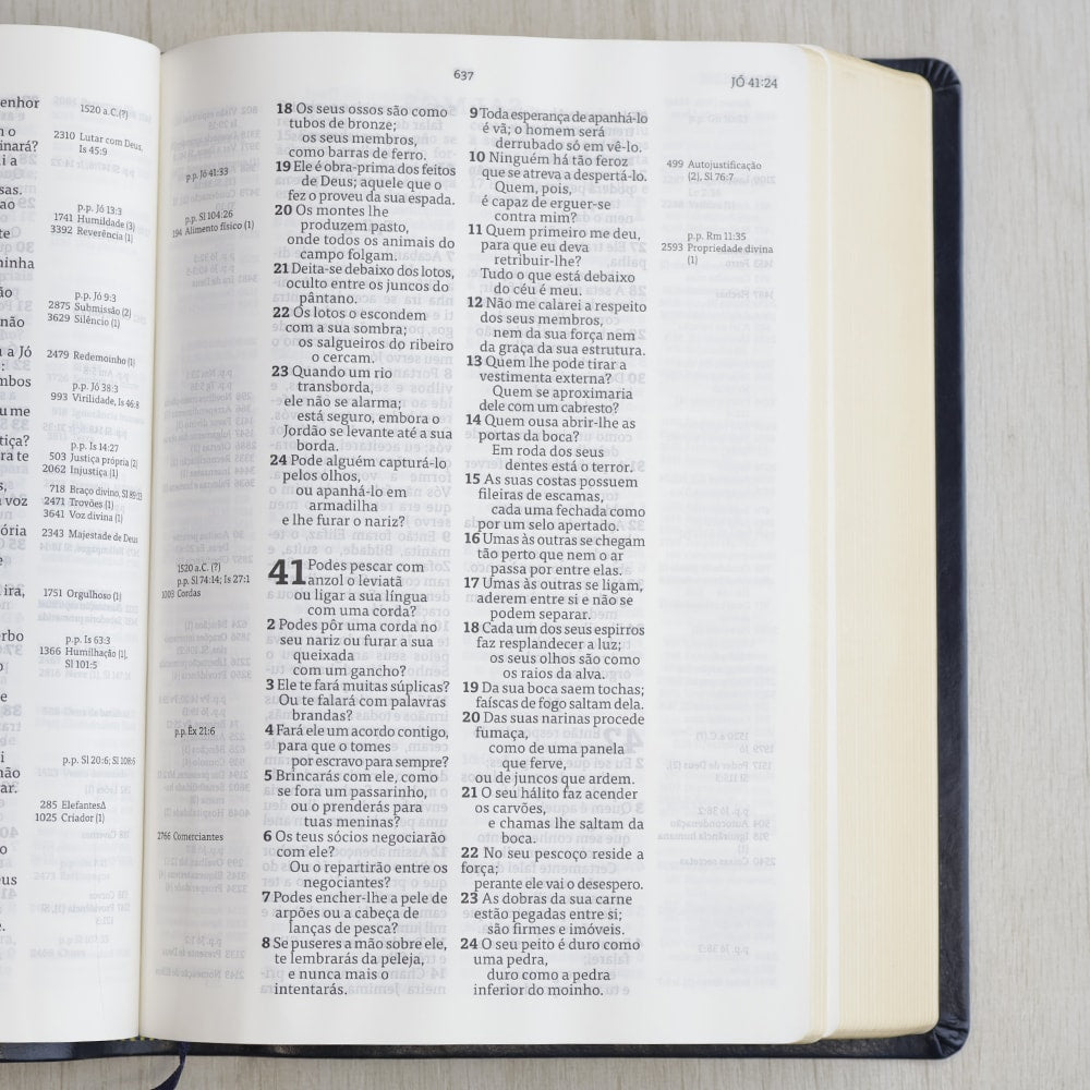 Bíblia Thompson de Estudo | AEC | Letra Grande | Capa Luxo Azul