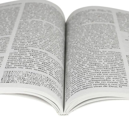 Novo Testamento | NTLH | Letra Grande