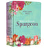 Bíblia de Estudo Spurgeon | King James 1611 | Letra Grande | Luxo | Floral Feminina