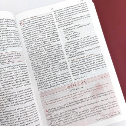 Bíblia da Mulher de Fé | NVI | Comentários Sheila Walsh | Capa Luxo Vinho