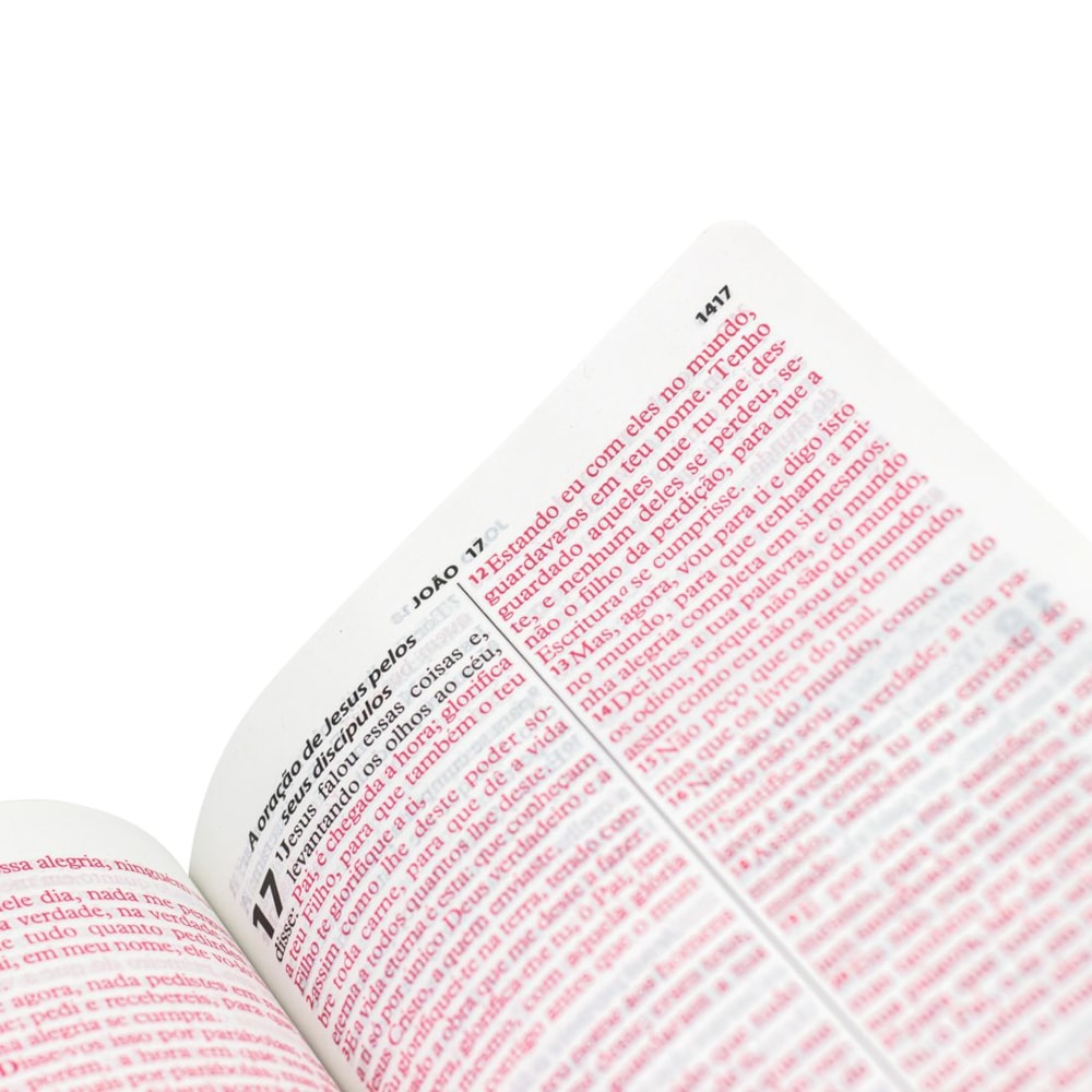 Bíblia Sagrada com Harpa Cristã | ARC | Letra Gigante | Ramo Prata