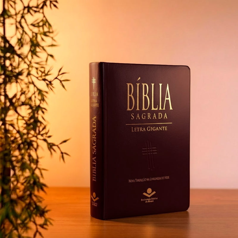 Bíblia Sagrada | Letra Gigante | NTLH | Capa Marrom Nobre