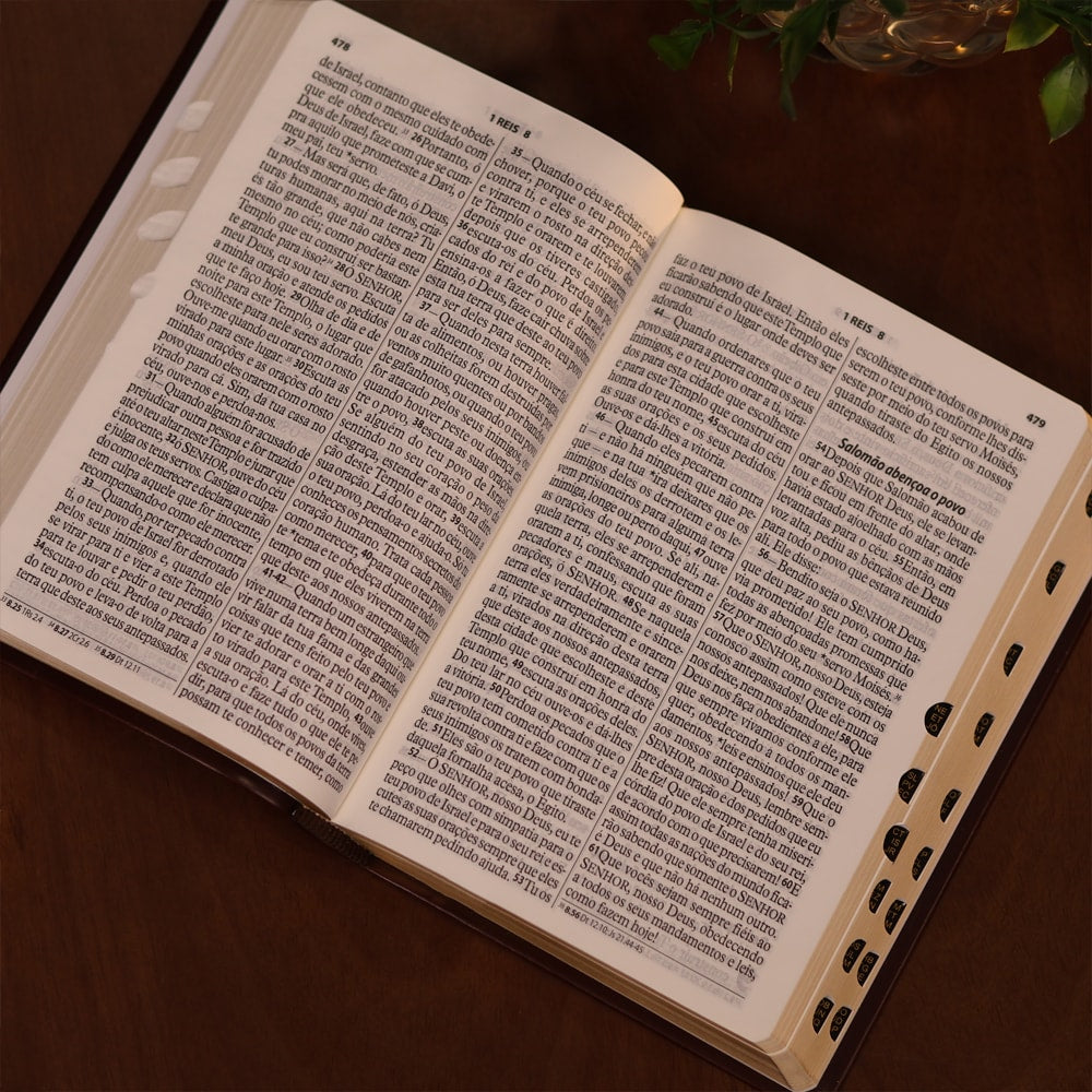 Bíblia Sagrada | Letra Gigante | NTLH | Capa Marrom Nobre