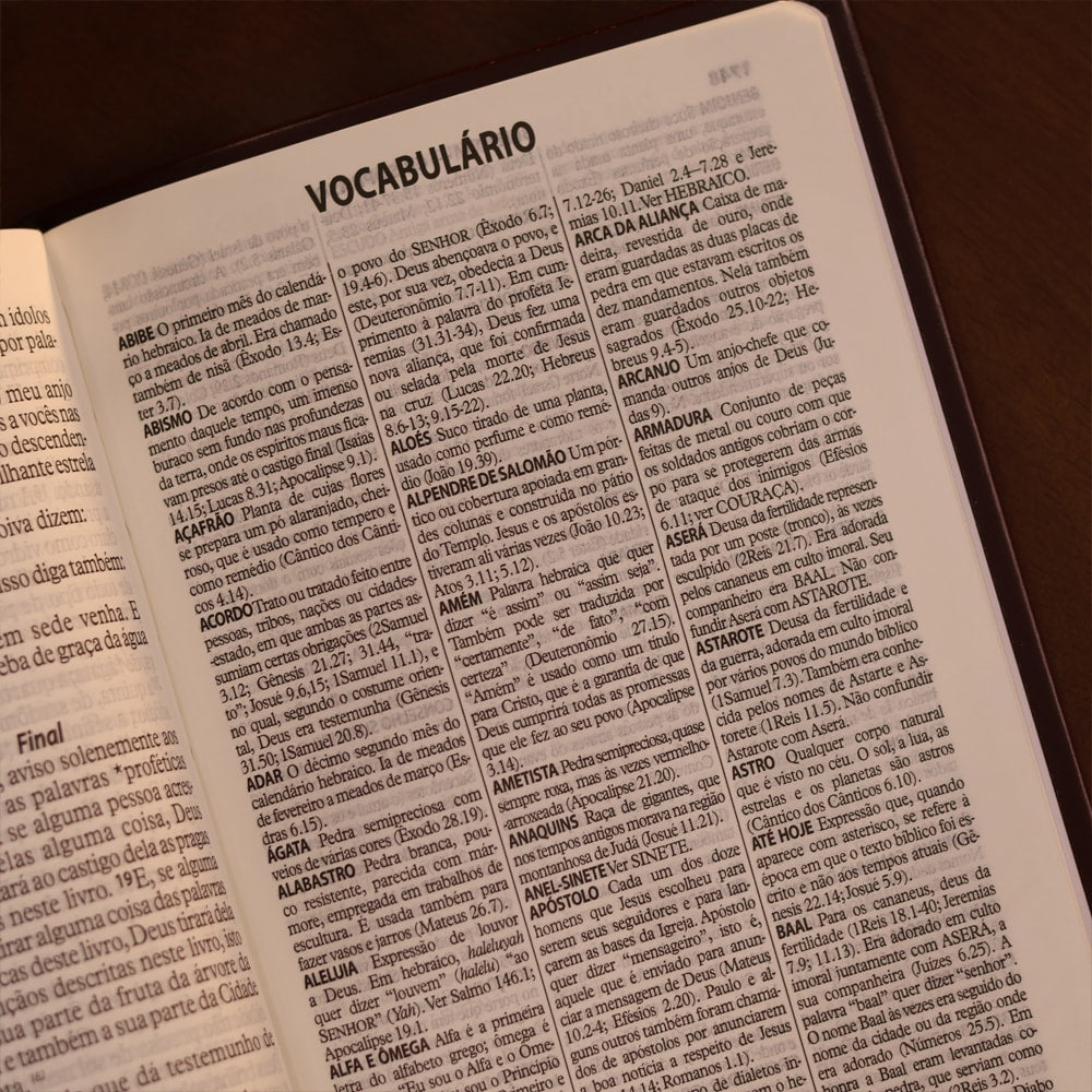 Bíblia Sagrada | Letra Gigante | NTLH | Capa Marrom Nobre