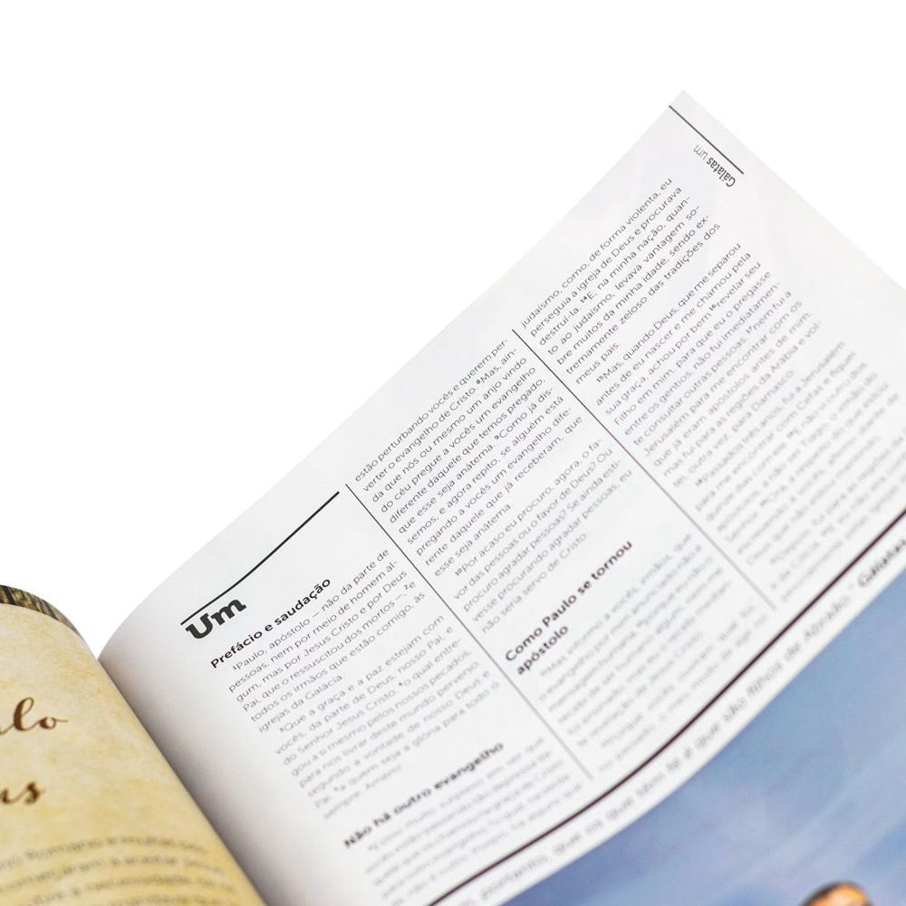 Bíblia NT Verbo | NAA | Capa Leão