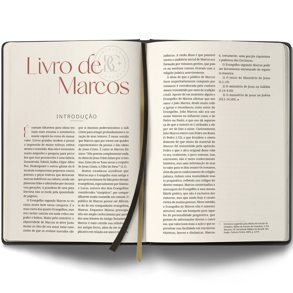 Bíblia Contexto | Evangelho e Atos | NVT | Capa Dura |Ornamentos