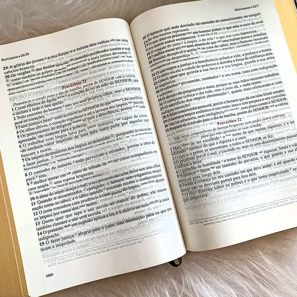 Bíblia de Estudo Literal do Texto Tradicional | LTT | Capa Dura Artrítica