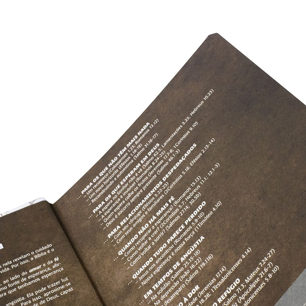 Bíblia Sagrada Âncora Azul | NTLH | Letra Normal | Capa Dura