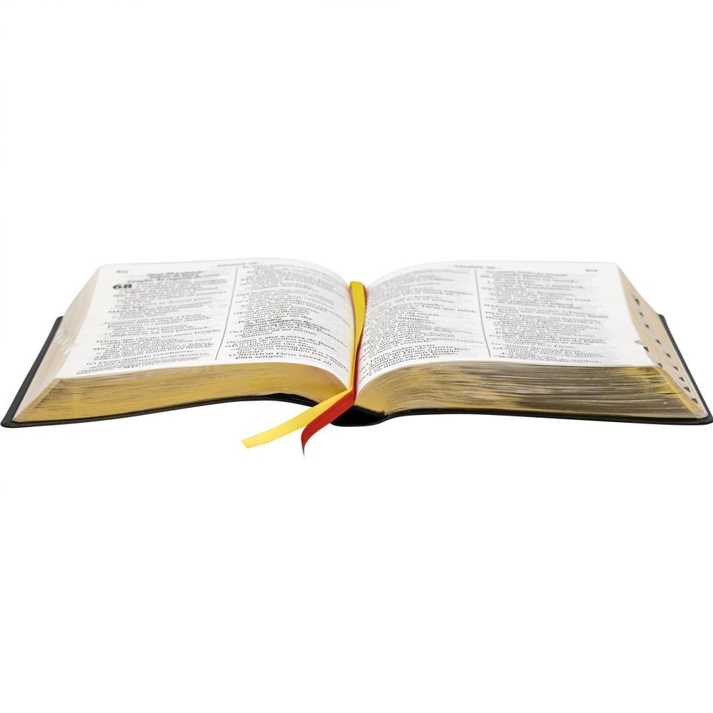 Bíblia Sagrada | NTLH | Letra Extragigante | NTLH | Capa Luxo Preta