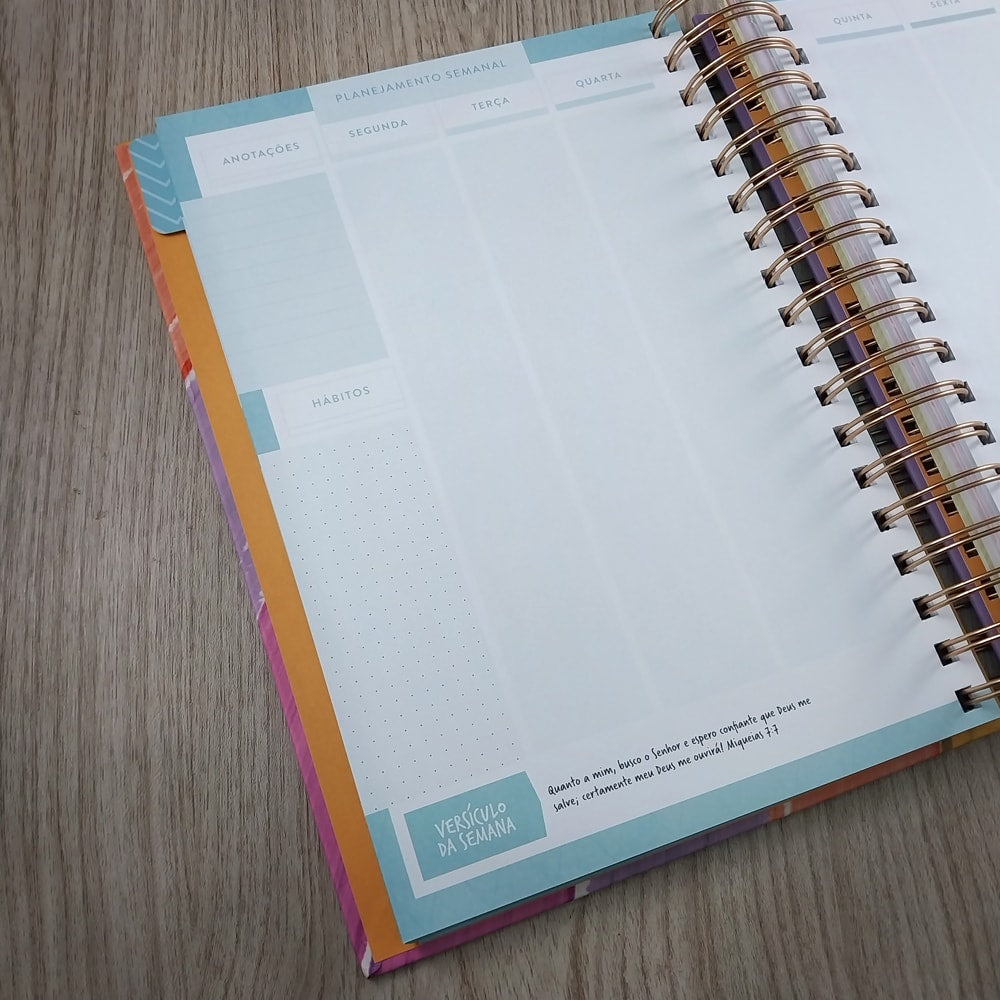 Meu Plano Perfeito | Capa Dura Colorida Pastel