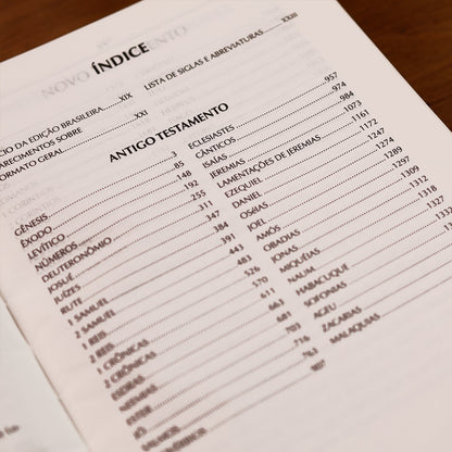 Bíblia Campo de Batalha da Mente | NVA | Letra Normal | Capa Luxo Cinza