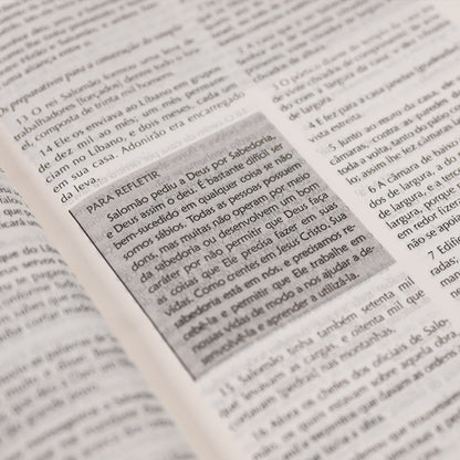 Bíblia Campo de Batalha da Mente | NVA | Letra Normal | Capa Luxo Cinza