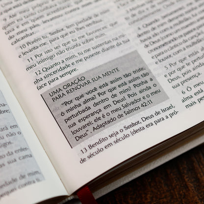 Bíblia Campo de Batalha da Mente | NVA | Letra Normal | Capa Luxo Branca