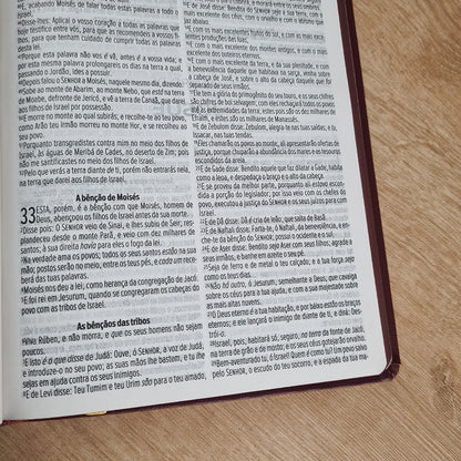 Bíblia Sagrada Paz | ACF | Letra Maior | Capa Luxo
