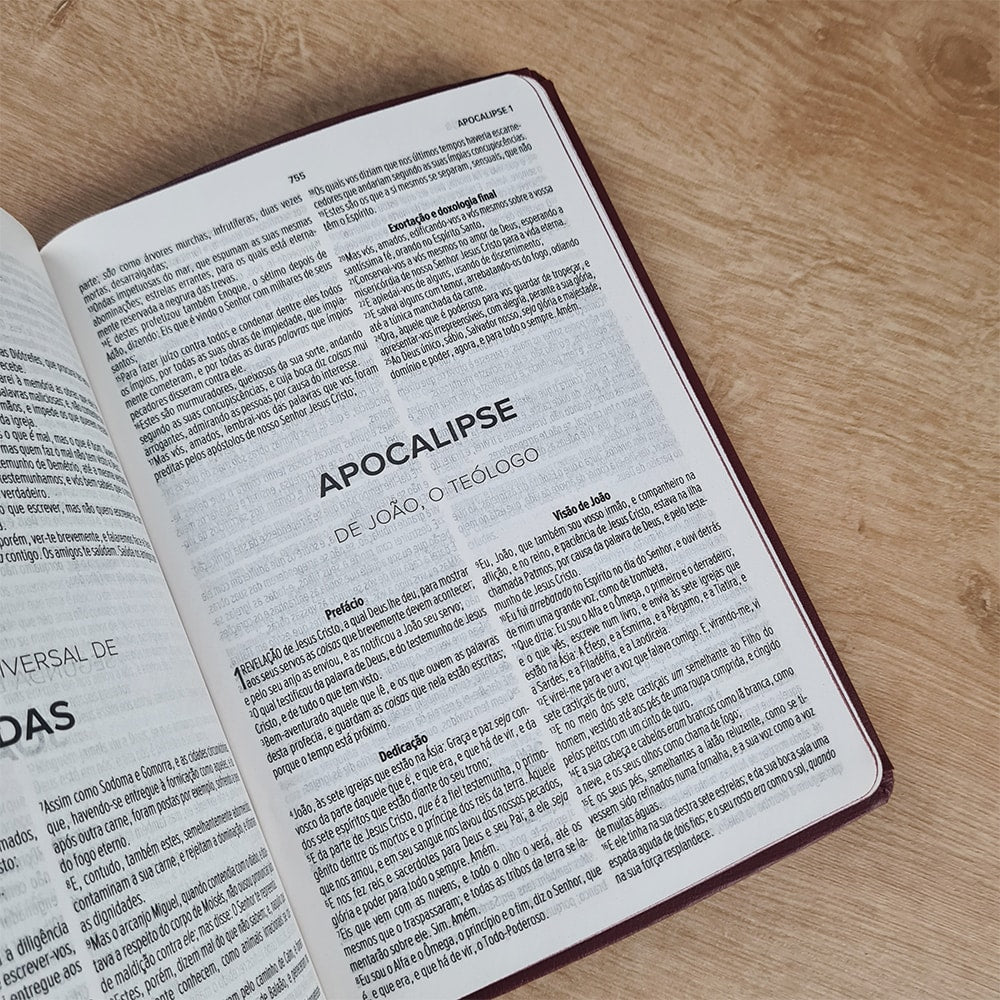 Bíblia Sagrada Paz | ACF | Letra Maior | Capa Luxo