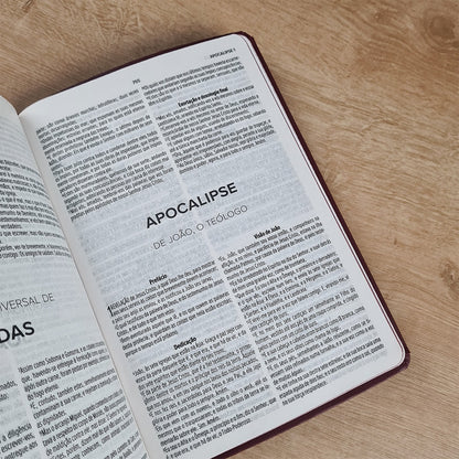 Bíblia Sagrada Paz | ACF | Letra Maior | Capa Luxo
