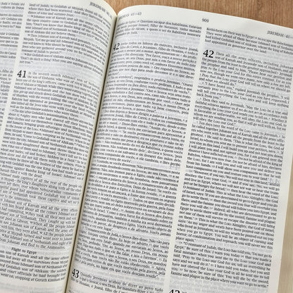 Bíblia Sagrada - Holy Bible | Português e Inglês | NVI Letra Normal | Azul