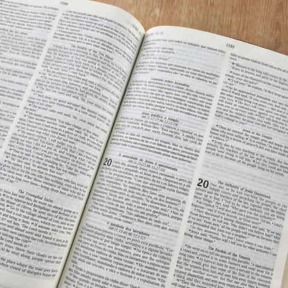 Bíblia Sagrada - Holy Bible | Português e Inglês | NVI Letra Normal | Pink