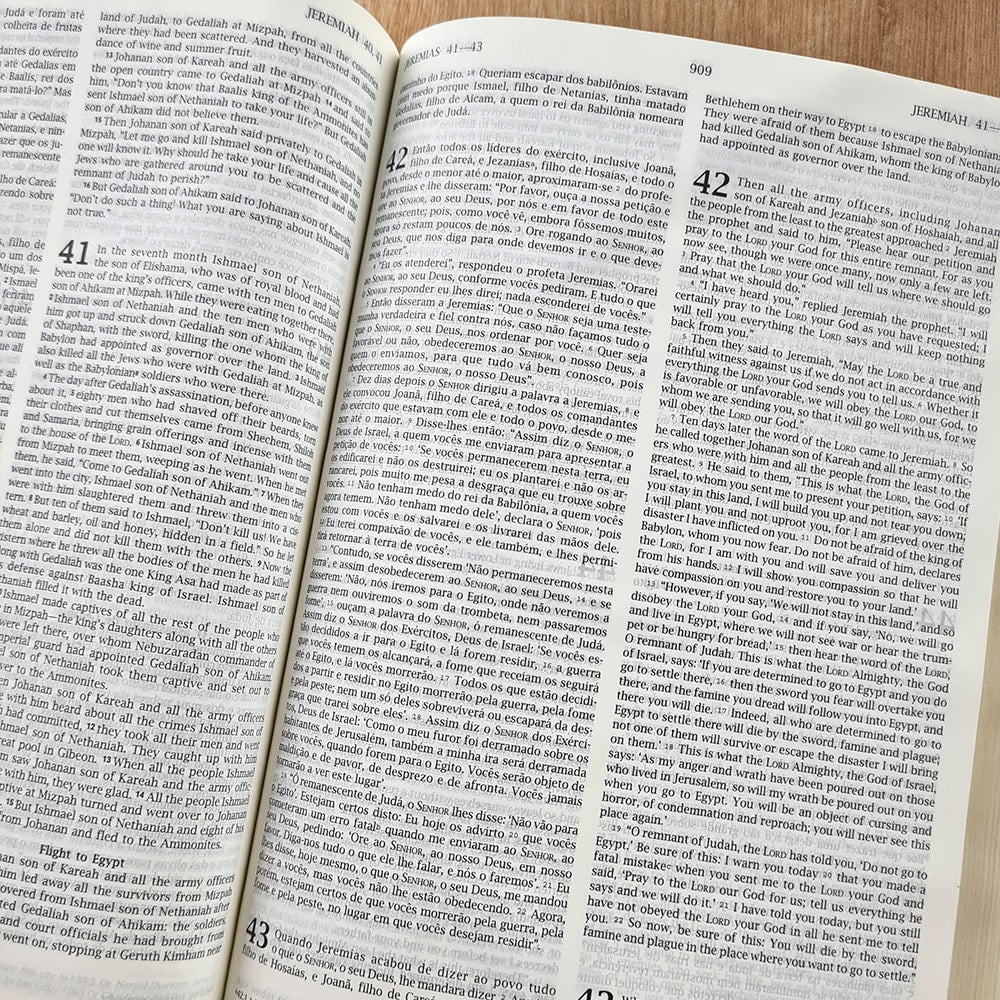 Bíblia Sagrada - Holy Bible | Português e Inglês | NVI Letra Normal | Pink