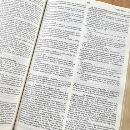 Bíblia Sagrada - Holy Bible | Português e Inglês | NVI Letra Normal | Pink