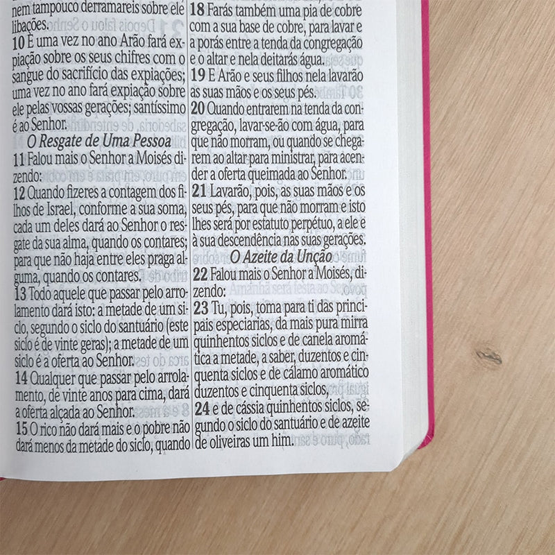 Bíblia Sagrada com Harpa Avivada e Corinhos | ARC | Letra Jumbo | Capa Semiflexível Pink