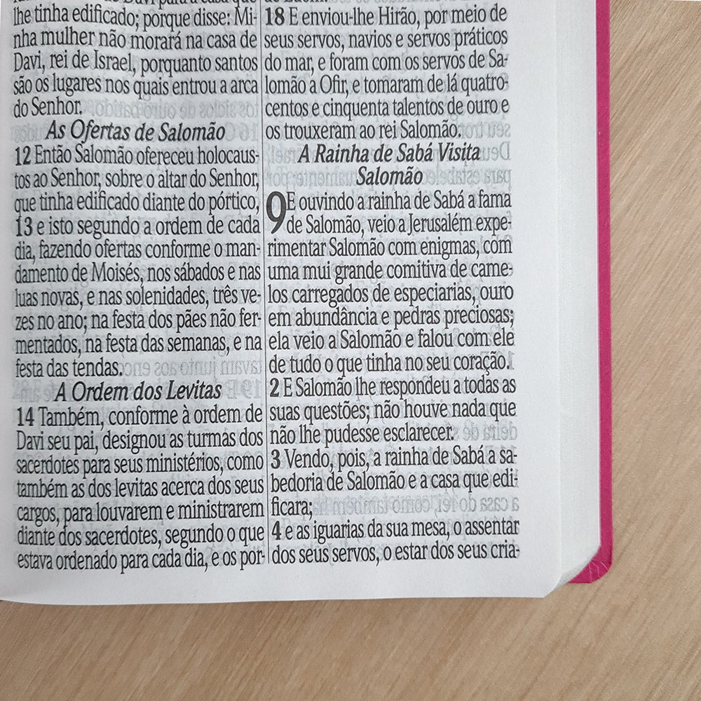 Bíblia Sagrada com Harpa Avivada e Corinhos | ARC | Letra Jumbo | Capa Semiflexível Pink