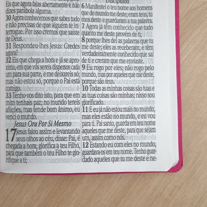 Bíblia Sagrada com Harpa Avivada e Corinhos | ARC | Letra Jumbo | Capa Semiflexível Pink