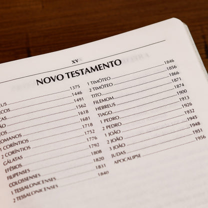 Bíblia Campo de Batalha da Mente | NVA | Letra Normal | Capa Luxo Vermelha