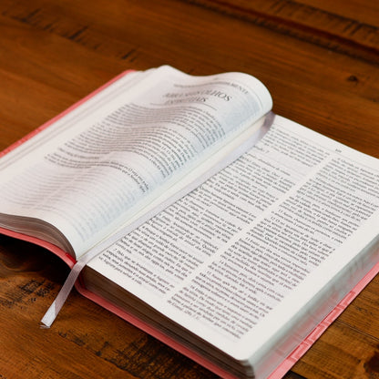 Bíblia Campo de Batalha da Mente | NVA | Letra Normal | Capa Luxo Vermelha