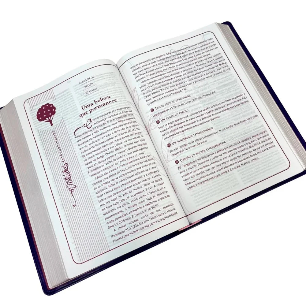 Bíblia Mulher Extraordinária | NVI | Hernandes Dias Lopes | Capa Dura Lilás