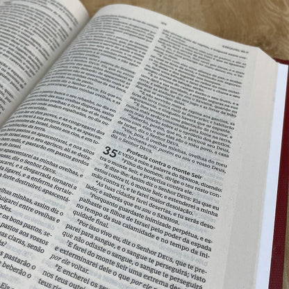Bíblia Sagrada | ACF | Leitura Perfeita | Capa Dura Oração