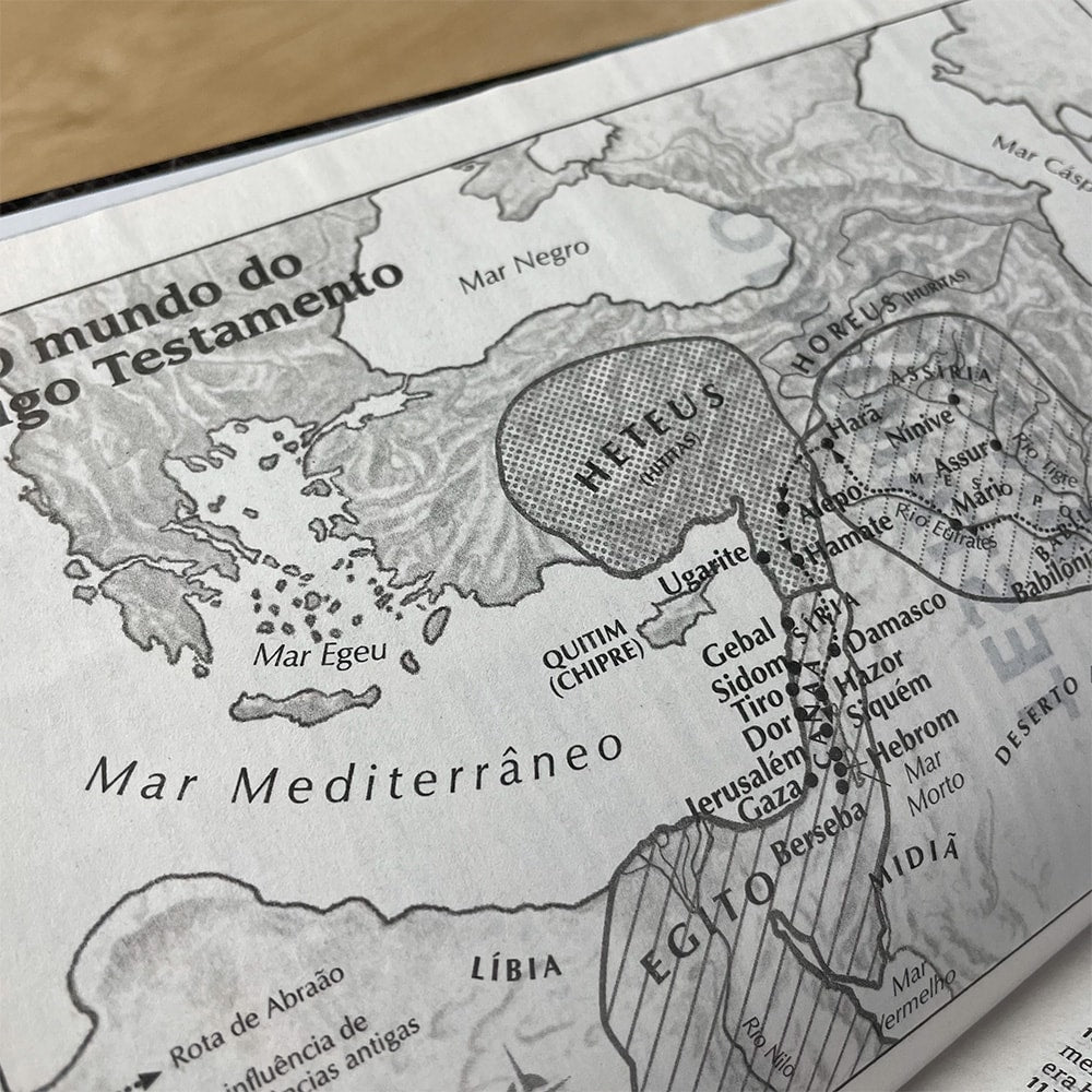 Bíblia Sagrada Ilustrada Ramos | ARC | Letra Normal | Capa Dura Evangelismo