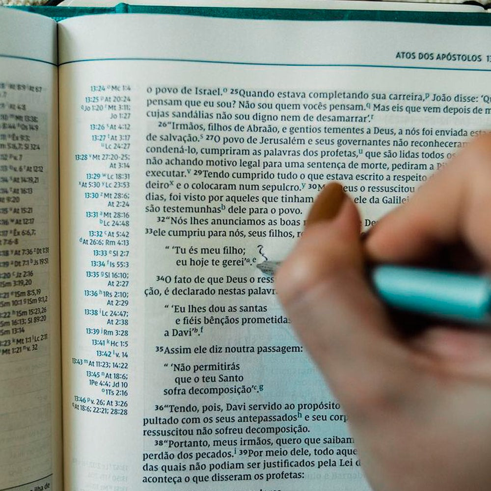 Bíblia De Estudo Thomas Nelson | NVI | Letra Normal | Capa Dura Turquesa