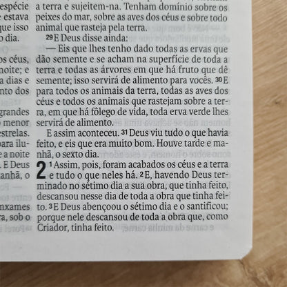 Bíblia Sagrada Flores | NAA | Letra Normal | Capa Dura