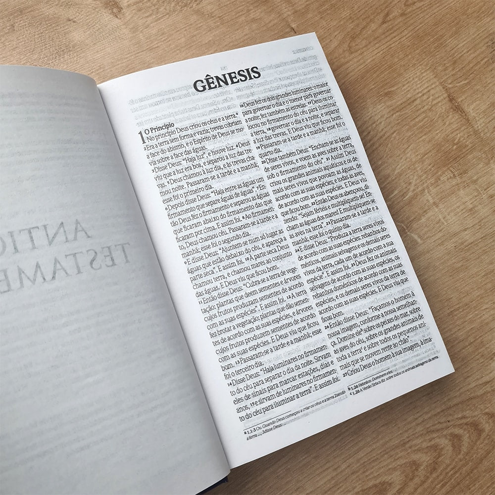 Bíblia Sagrada Ide Summer | NVI | Letra Grande | Capa Dura