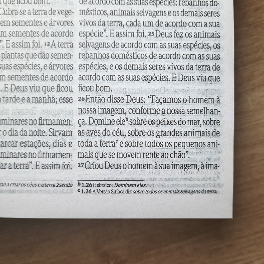 Bíblia Sagrada Ide Summer | NVI | Letra Grande | Capa Dura