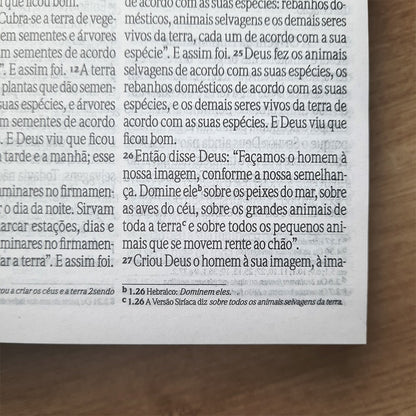 Bíblia Sagrada Ide Summer | NVI | Letra Grande | Capa Dura