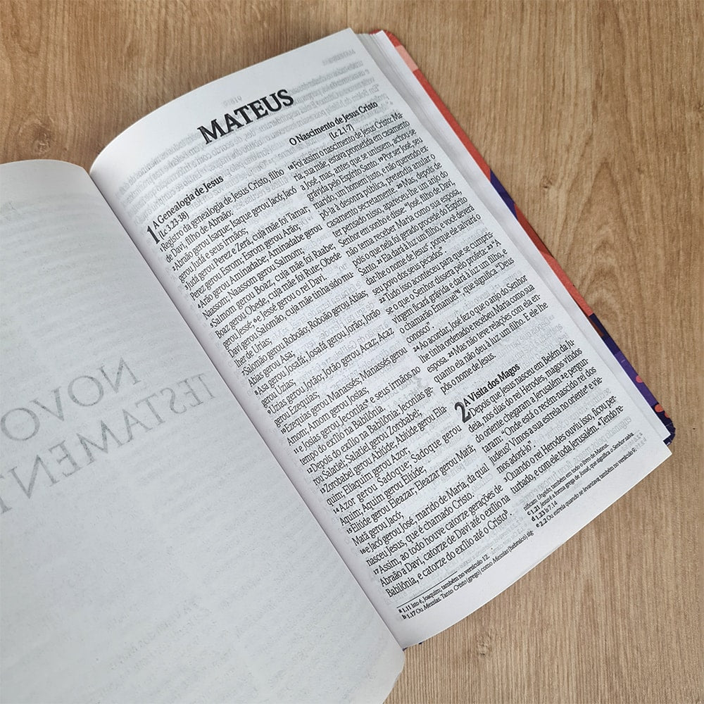 Bíblia Sagrada Ide Summer | NVI | Letra Grande | Capa Dura