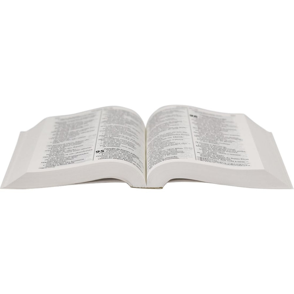 Bíblia Sagrada | Letra Gigante | NTLH | Capa Brochura Hebreus
