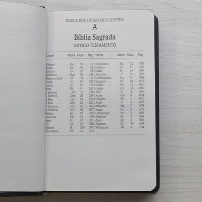 Bíblia Sagrada Ele Vive | NVI | Letra Maior | Capa Dura Ilustrada