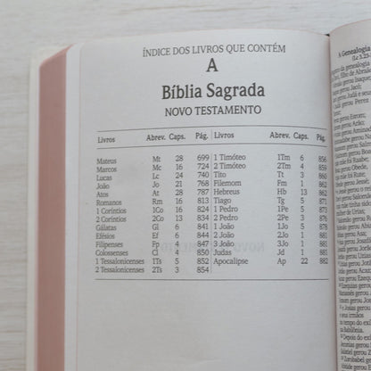 Bíblia Sagrada Leão de Judá | NVI | Letra Maior | Capa Dura Ilustrada