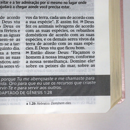 Bíblia De Estudo Joyce Meyer | NVI | Letra Grande | Capa Luxo Rosa