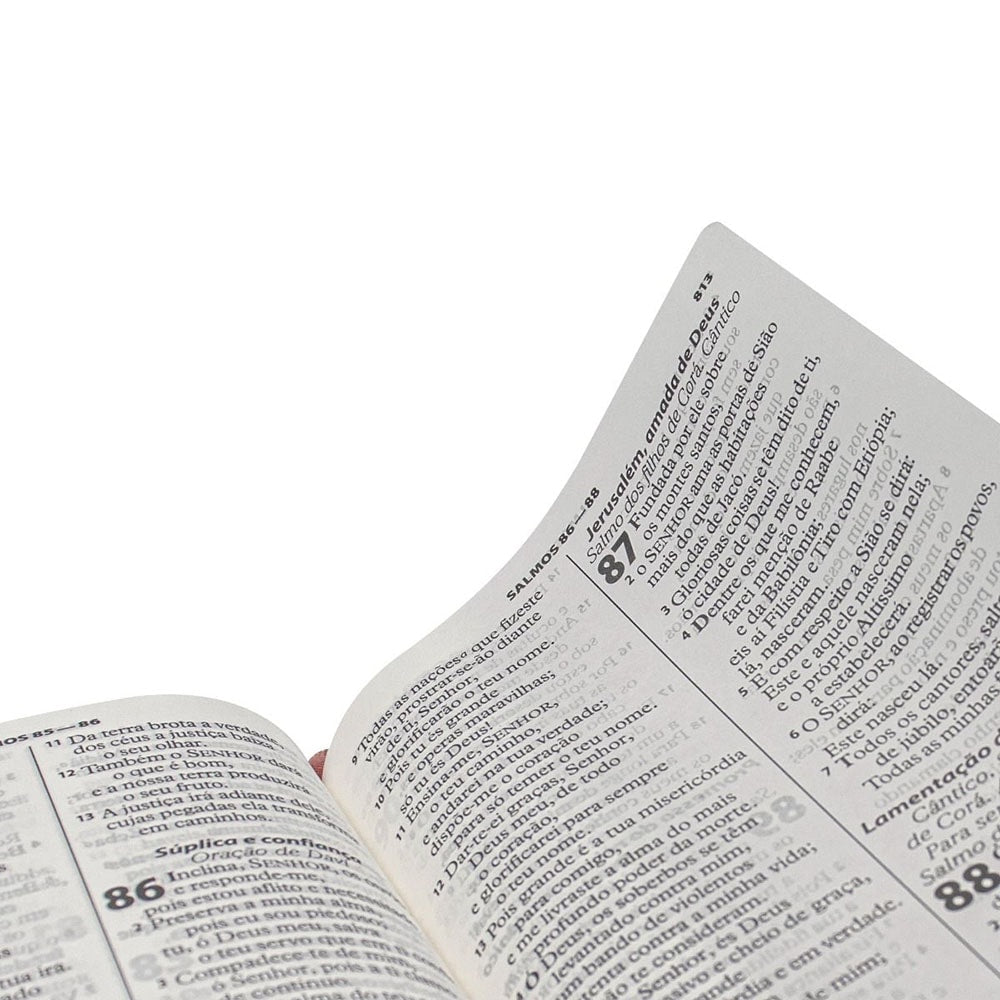 Bíblia Sagrada Economica | ARA | Letra Gigante | Capa Vermelho Luxo